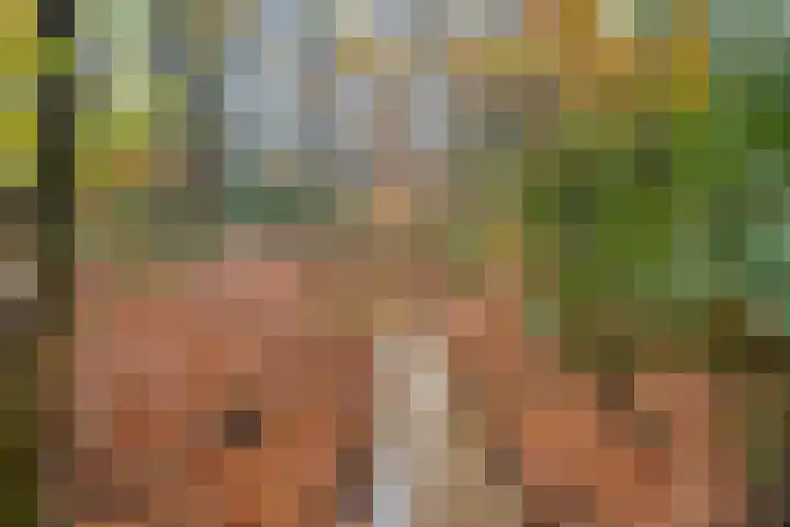 Chopinlaan 7 Apeldoorn thumbnail 34
