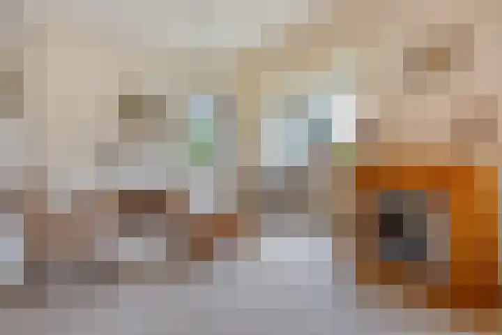 Chopinlaan 7 Apeldoorn thumbnail 6