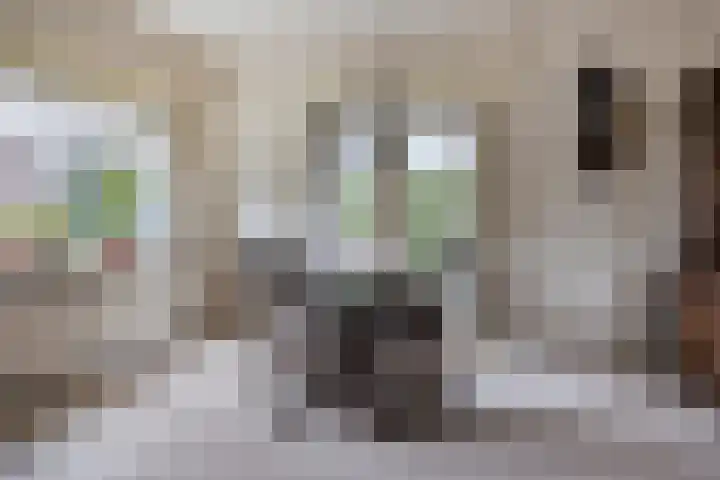 Chopinlaan 7 Apeldoorn thumbnail 7