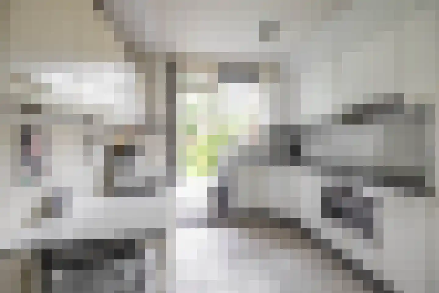 Chopinlaan 7 Groningen thumbnail 14