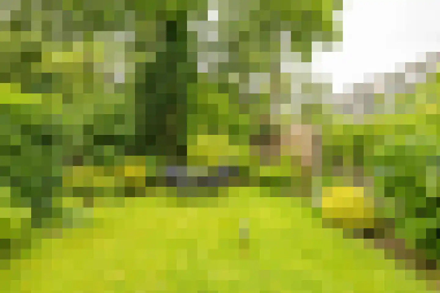 Chopinlaan 7 Groningen thumbnail 19