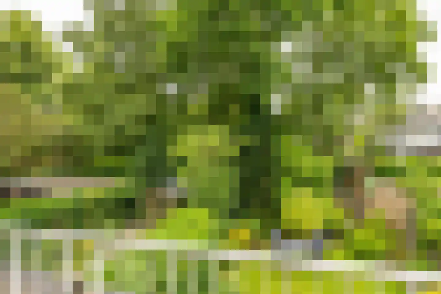 Chopinlaan 7 Groningen thumbnail 30