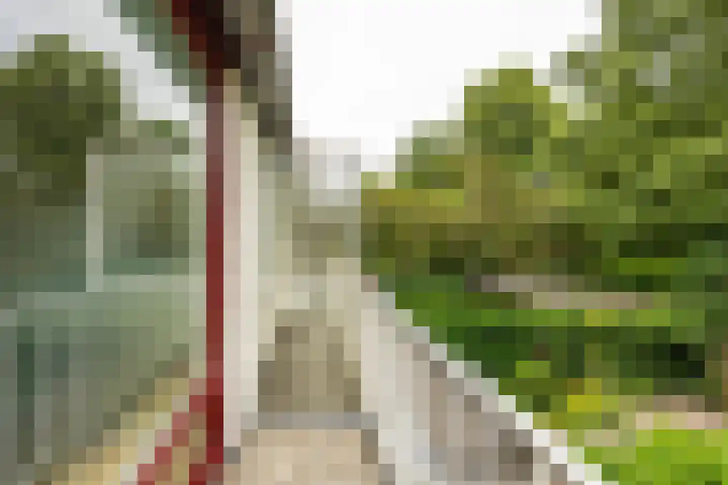 Chopinlaan 7 Groningen thumbnail 31