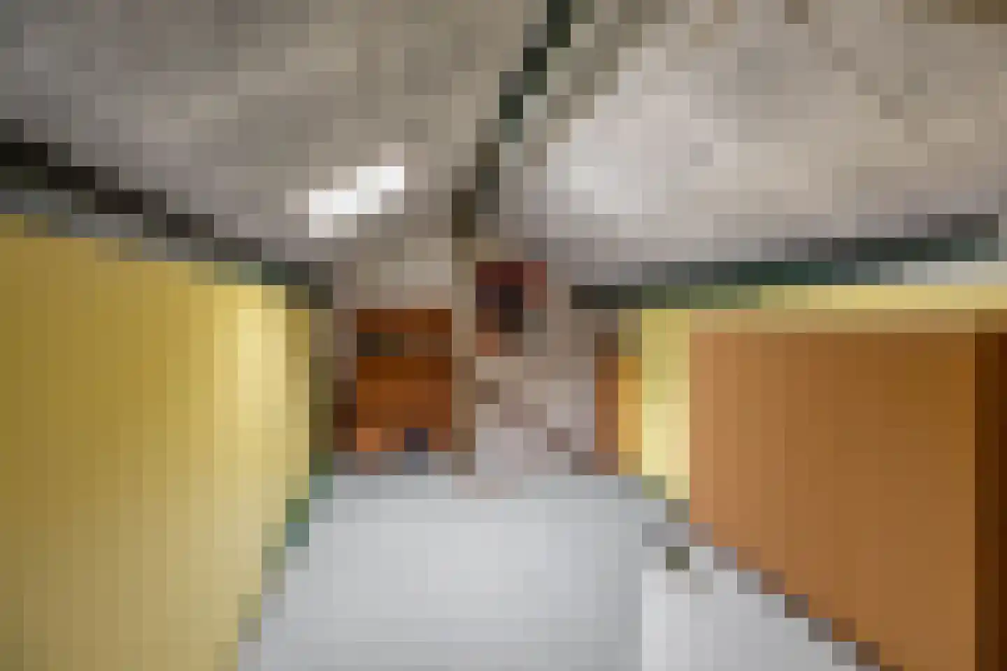 Chopinlaan 7 Groningen thumbnail 33