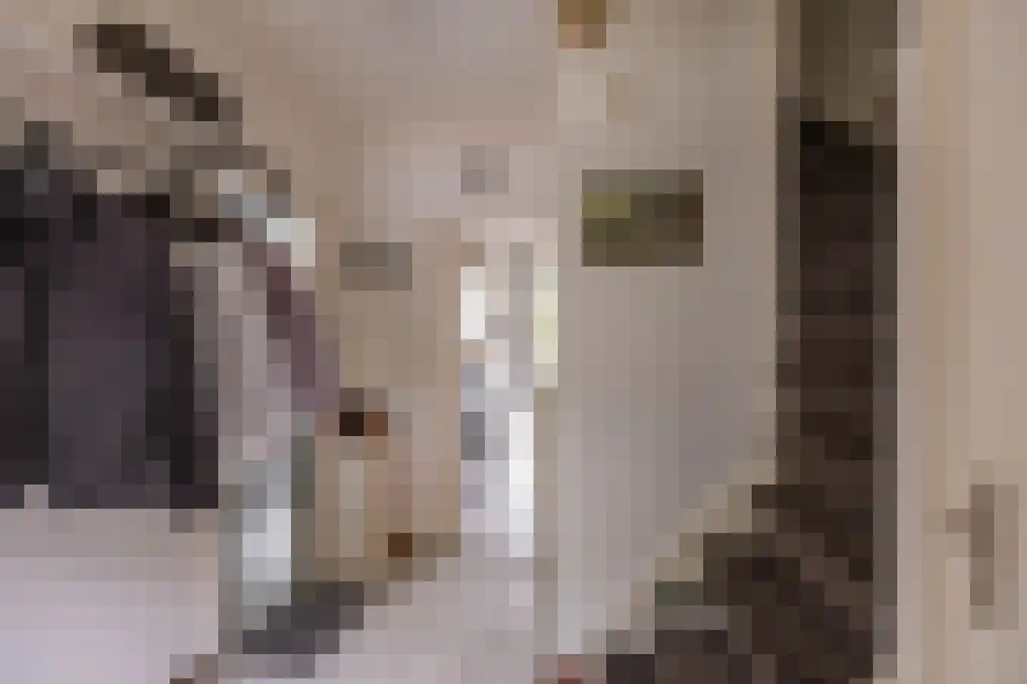 Chopinlaan 7 Groningen thumbnail 6