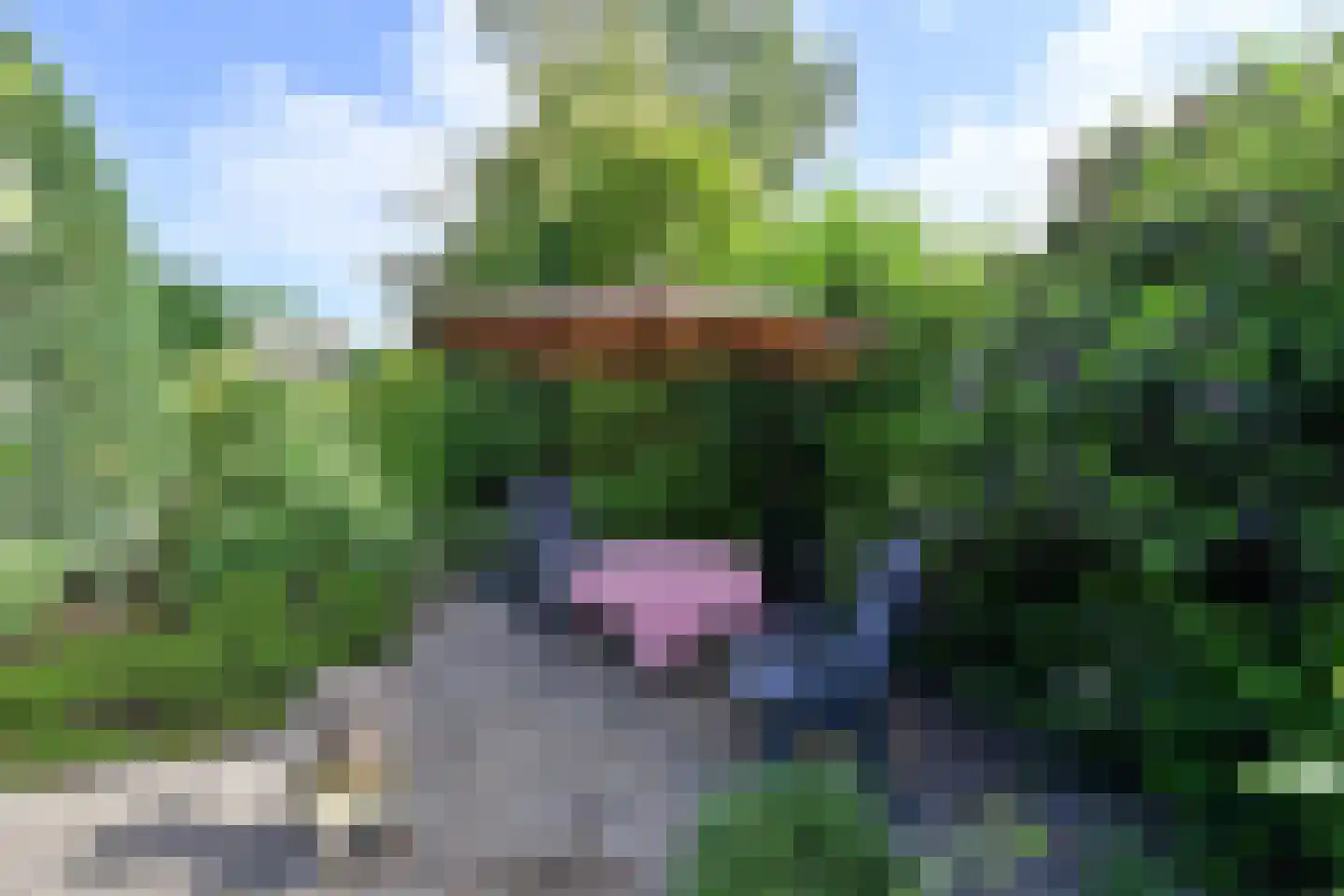 Chopinlaan 7 Naarden thumbnail 11