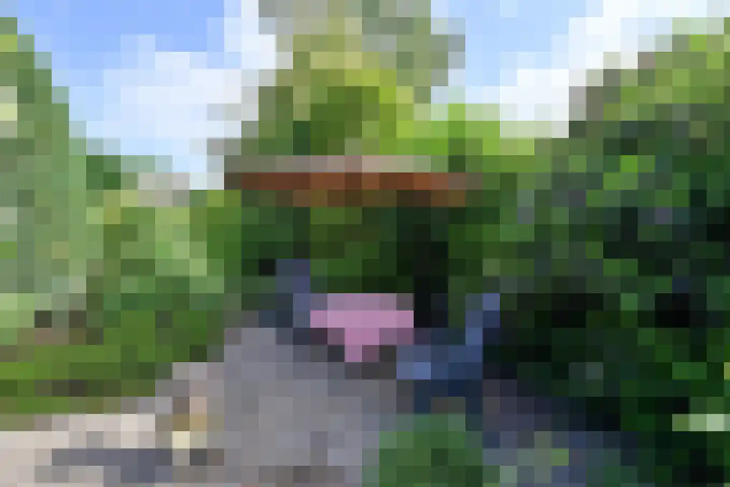 Chopinlaan 7 Naarden thumbnail 12