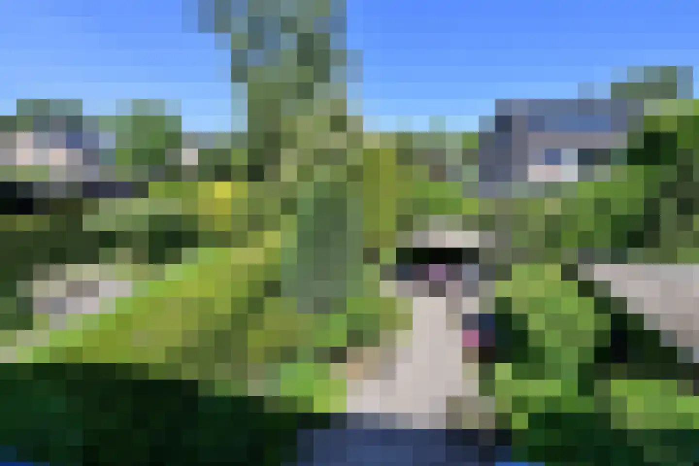 Chopinlaan 7 Naarden thumbnail 21