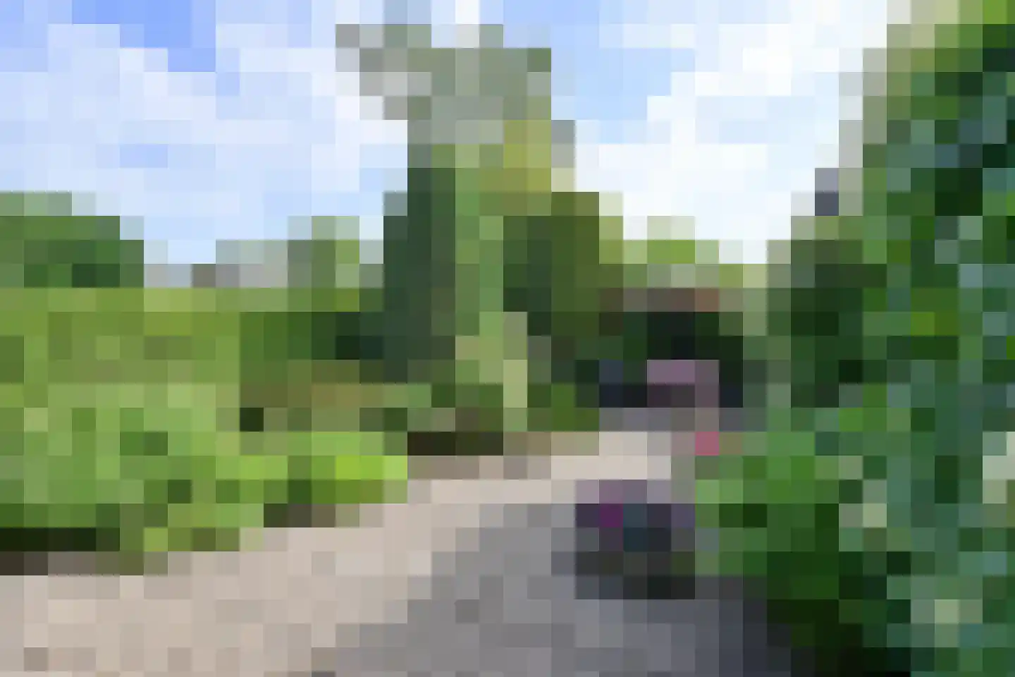 Chopinlaan 7 Naarden thumbnail 4