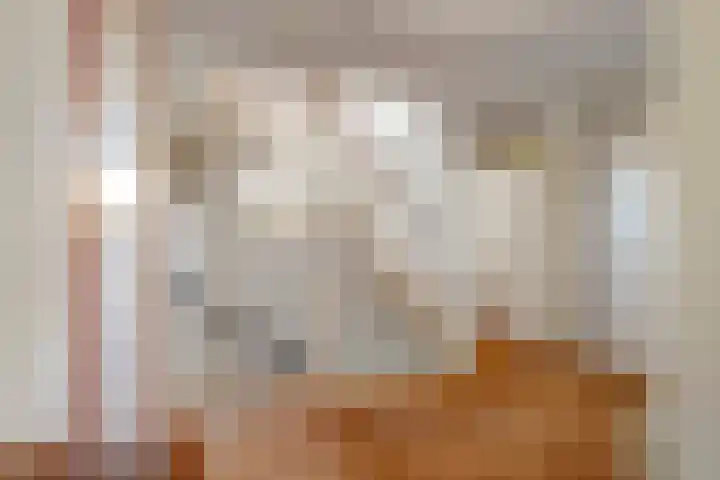 Chopinlaan 7 Rosmalen thumbnail 16
