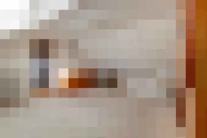 Chopinlaan 7 Rosmalen thumbnail 29