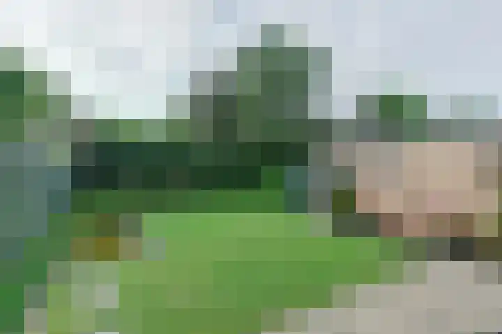 Chopinlaan 7 Rosmalen thumbnail 35