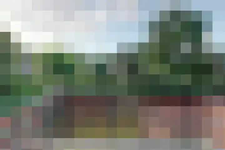 Chopinlaan 7 Rosmalen thumbnail 37