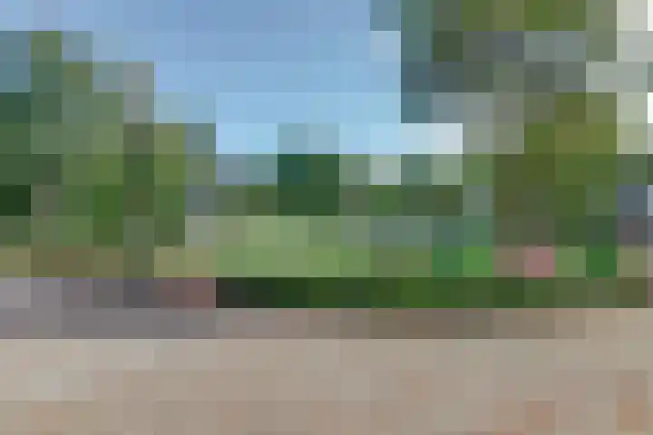 Chopinlaan 7 Rosmalen thumbnail 38