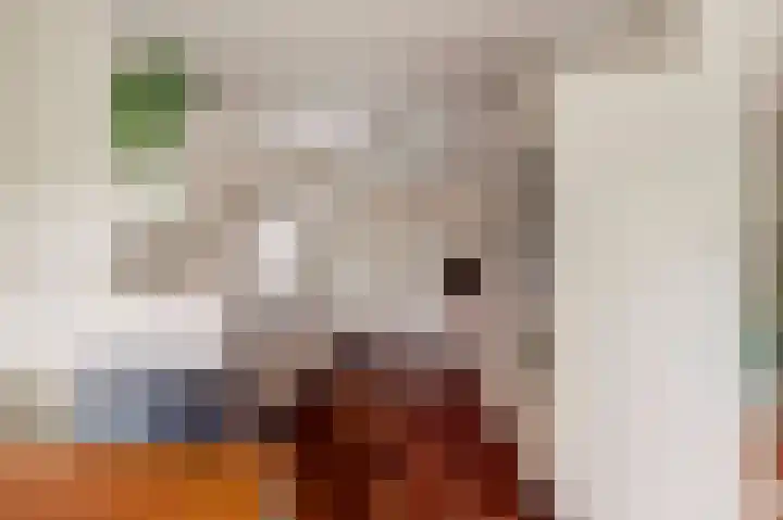 Chopinlaan 7 Rosmalen thumbnail 4