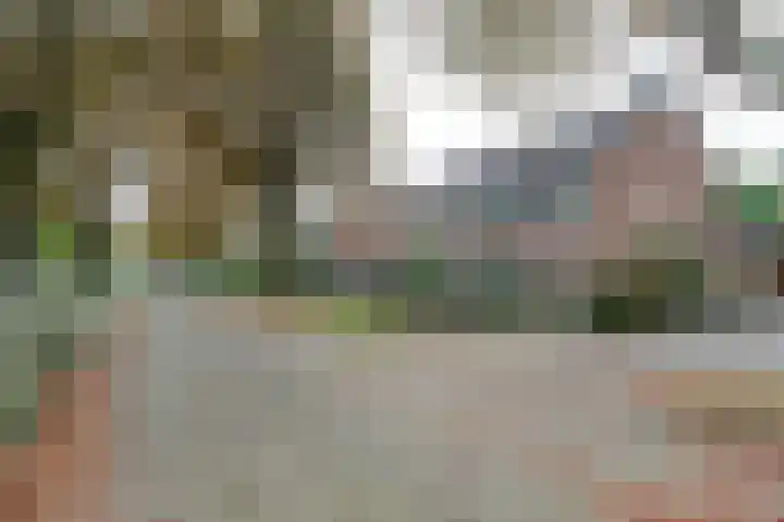 Chopinlaan 7 Rosmalen thumbnail 40