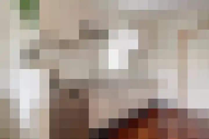 Chopinlaan 7 Rosmalen thumbnail 5