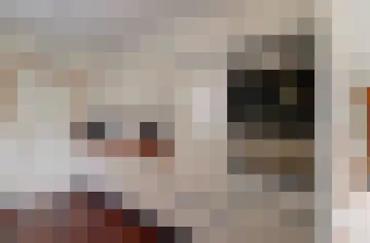 Chopinlaan 7 Rosmalen thumbnail 6