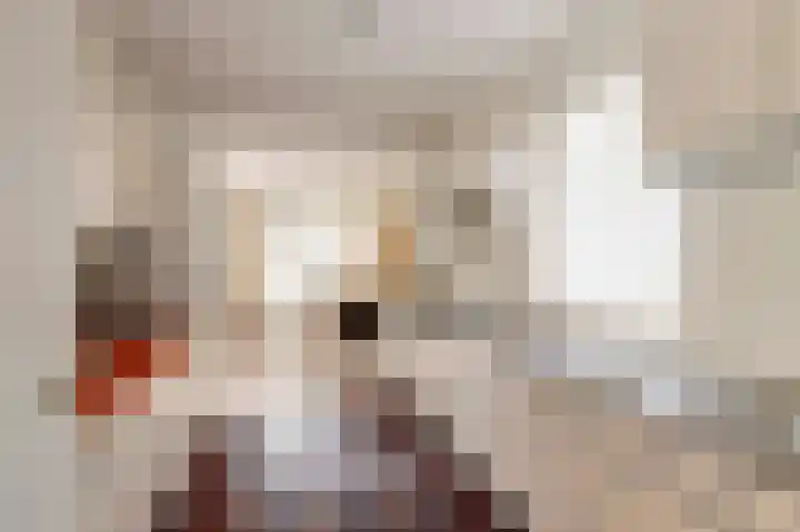 Chopinlaan 7 Rosmalen thumbnail 7