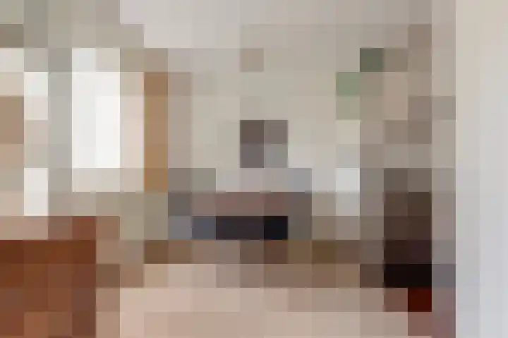 Chopinlaan 7 Rosmalen thumbnail 8