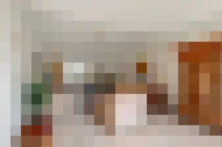 Chopinlaan 7 Rosmalen thumbnail 9
