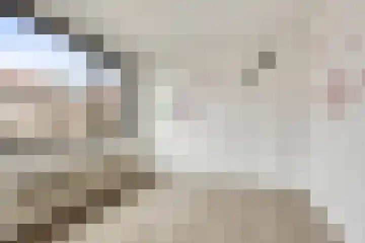 Chopinlaan 70 Eindhoven thumbnail 17