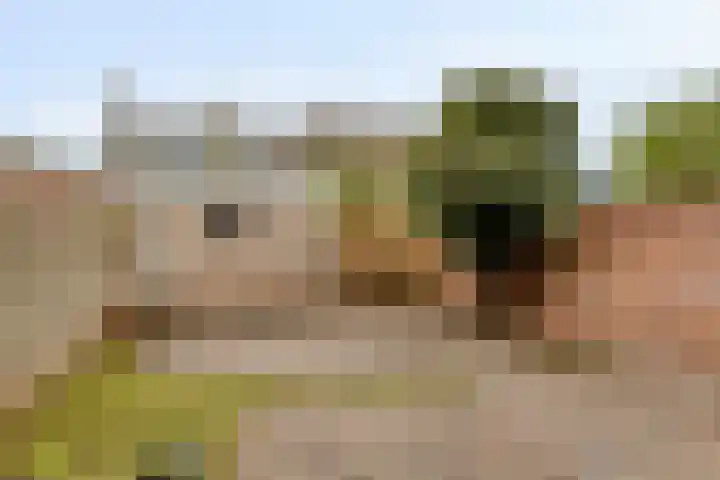 Chopinlaan 70 Eindhoven thumbnail 22