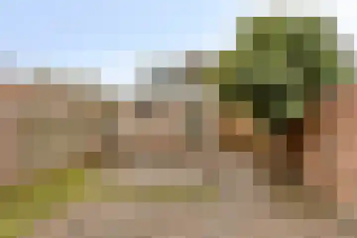 Chopinlaan 70 Eindhoven thumbnail 23