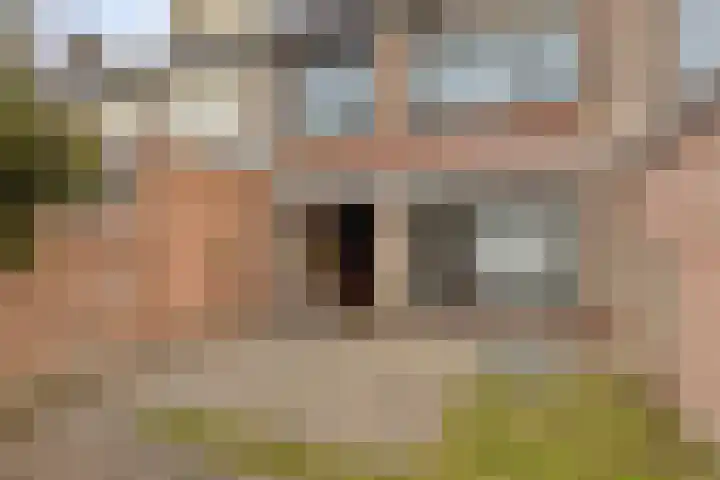 Chopinlaan 70 Eindhoven thumbnail 24