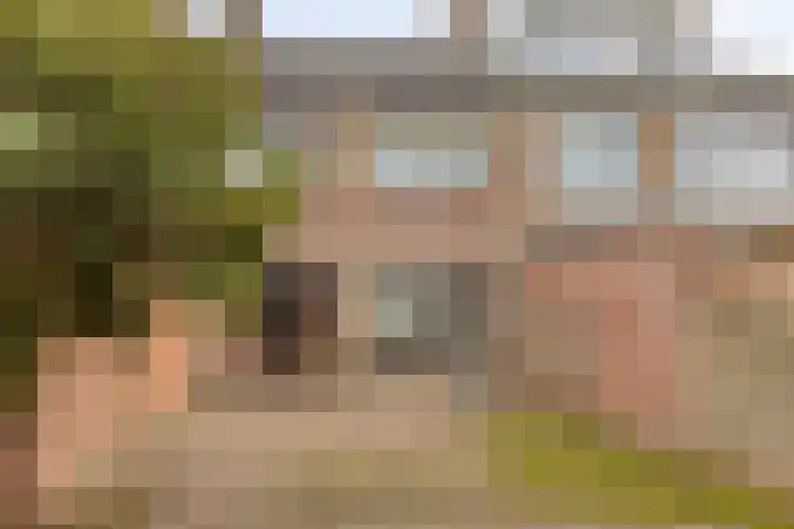 Chopinlaan 70 Eindhoven thumbnail 25