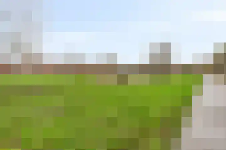Chopinlaan 70 Eindhoven thumbnail 26