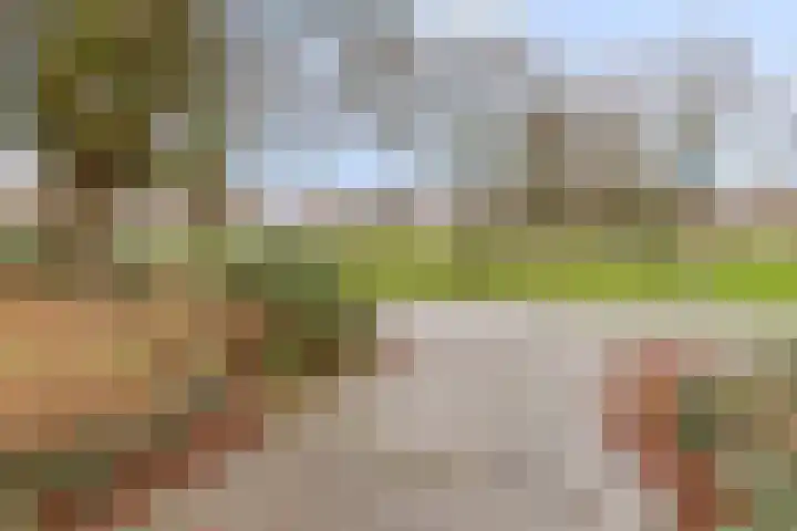 Chopinlaan 70 Eindhoven thumbnail 27
