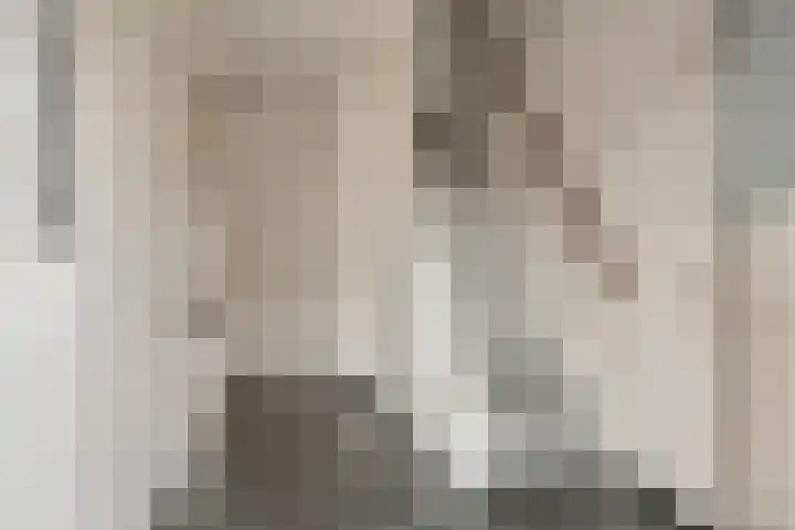 Chopinlaan 70 Eindhoven thumbnail 4