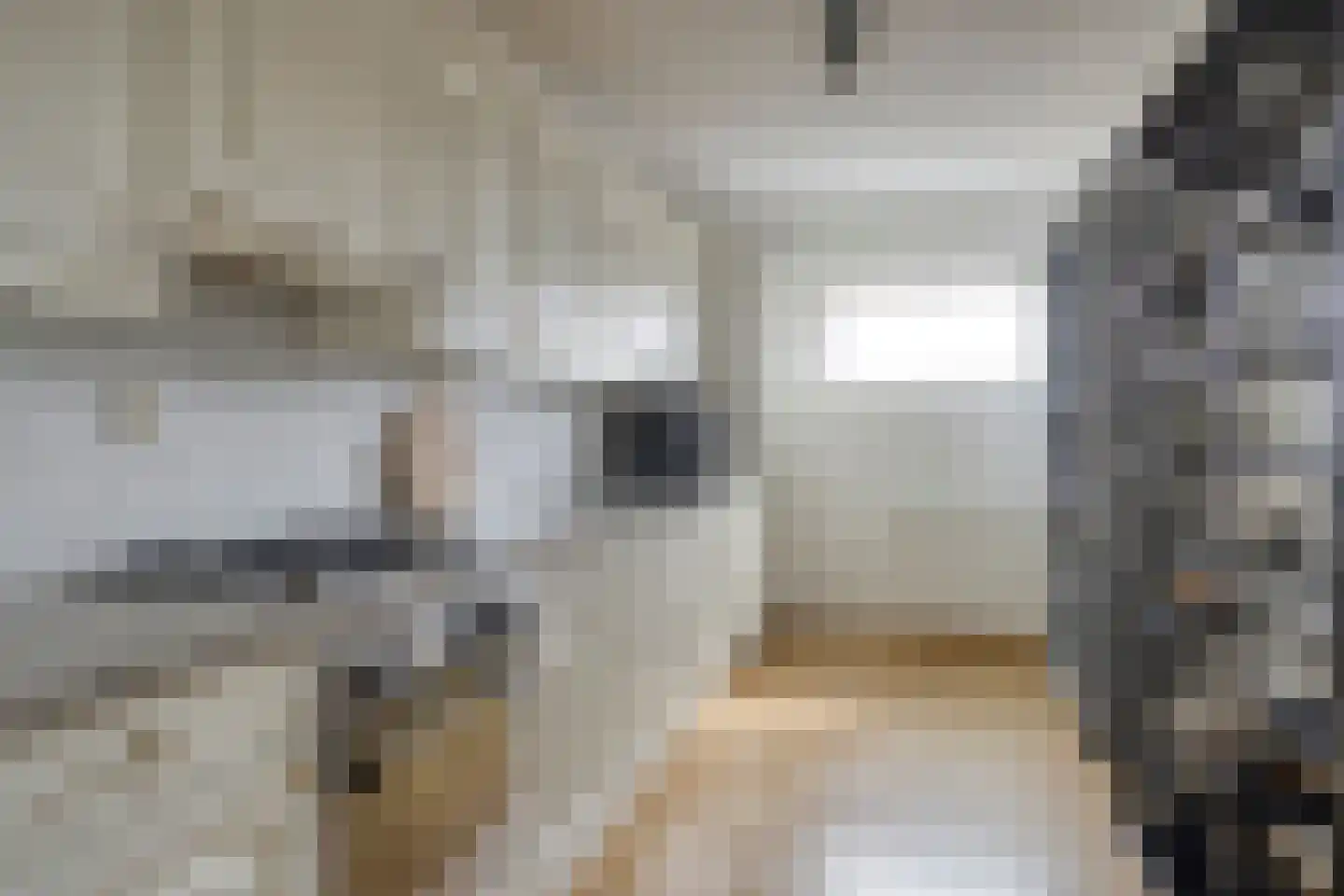 Chopinlaan 72 Groningen thumbnail 19