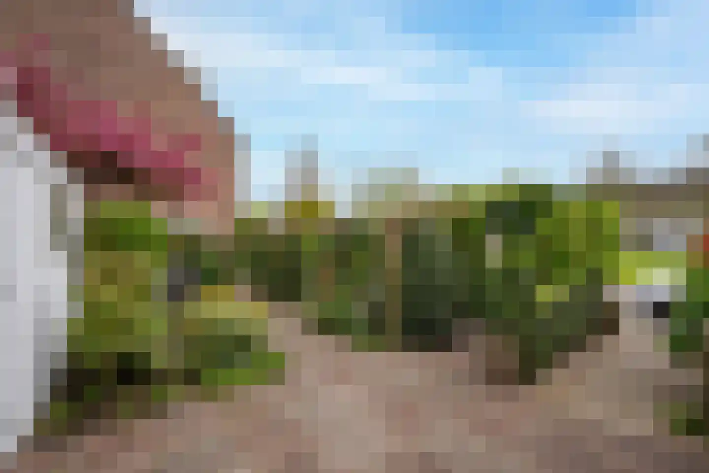 Chopinlaan 72 Voorschoten thumbnail 20