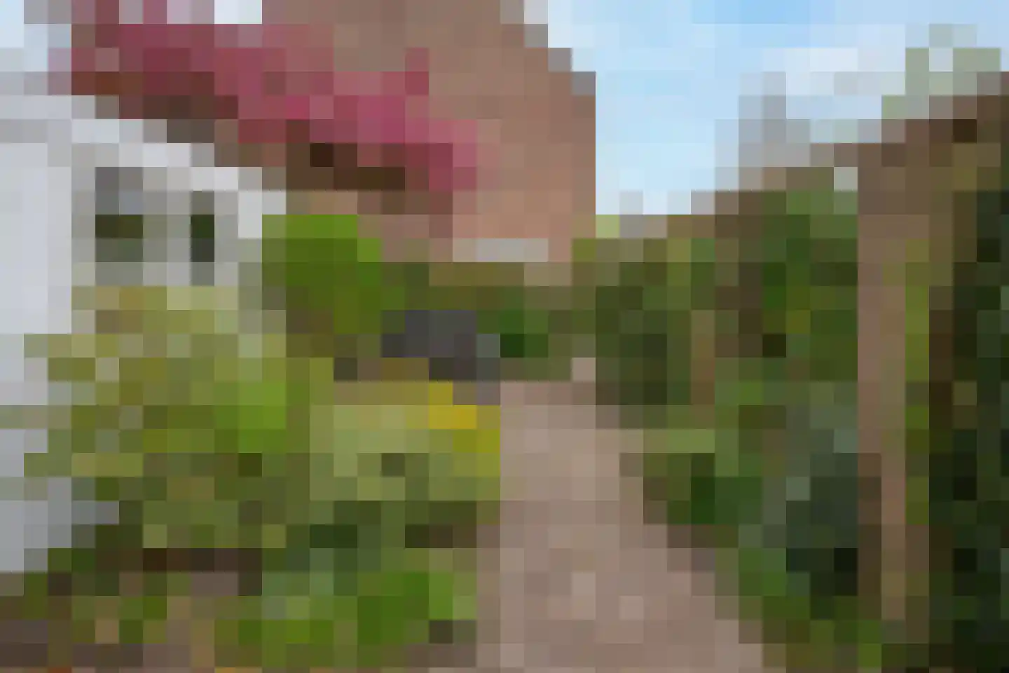 Chopinlaan 72 Voorschoten thumbnail 21