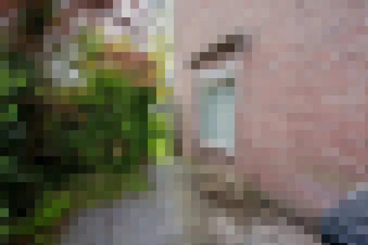 Chopinlaan 72 Voorschoten thumbnail 28