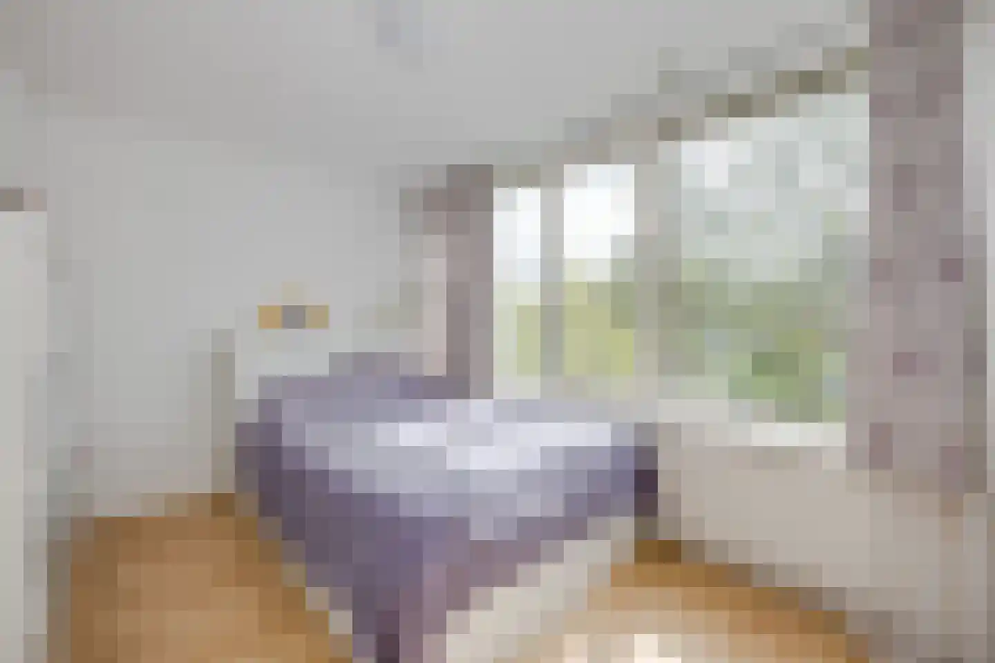 Chopinlaan 72 Voorschoten thumbnail 29