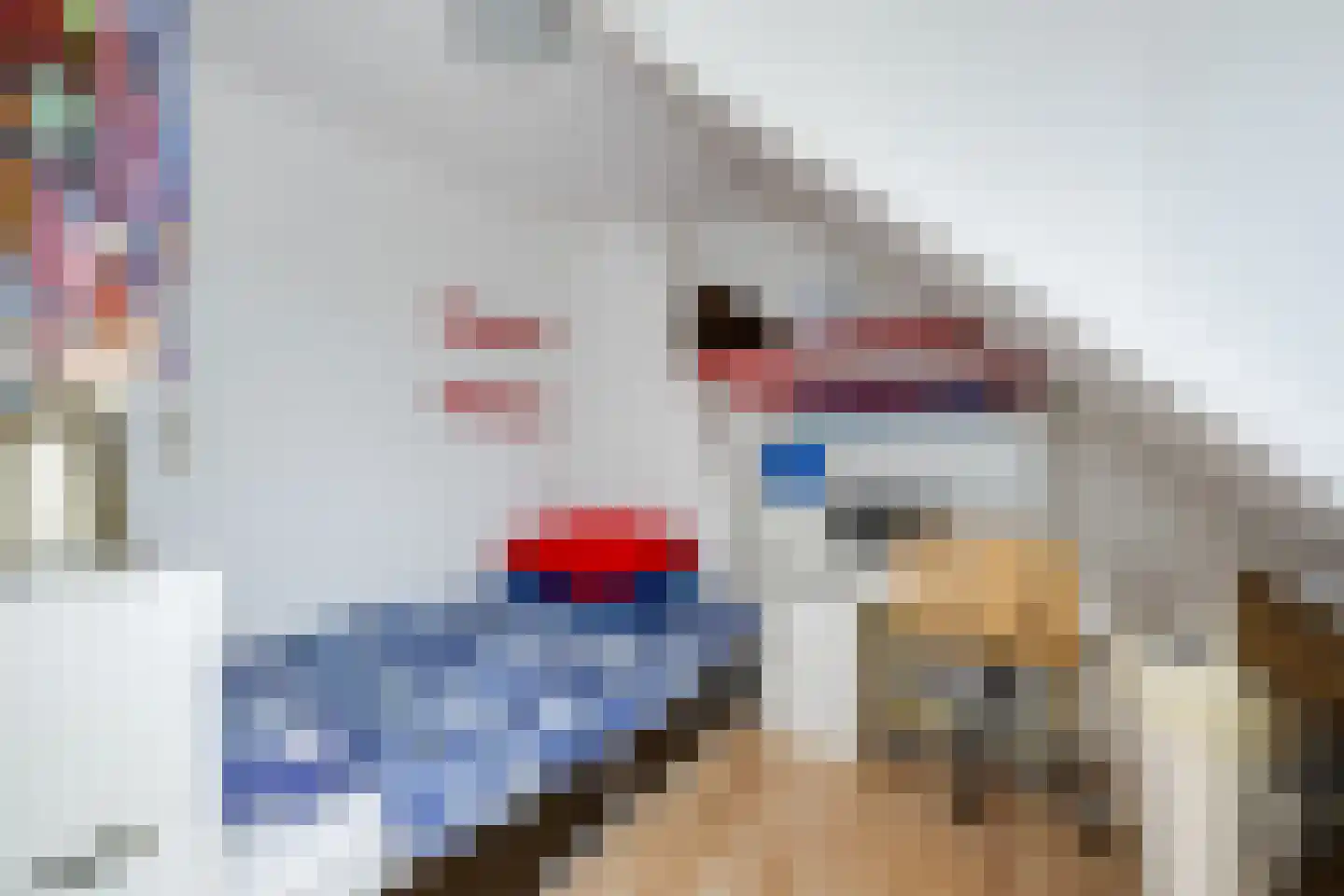 Chopinlaan 72 Voorschoten thumbnail 35