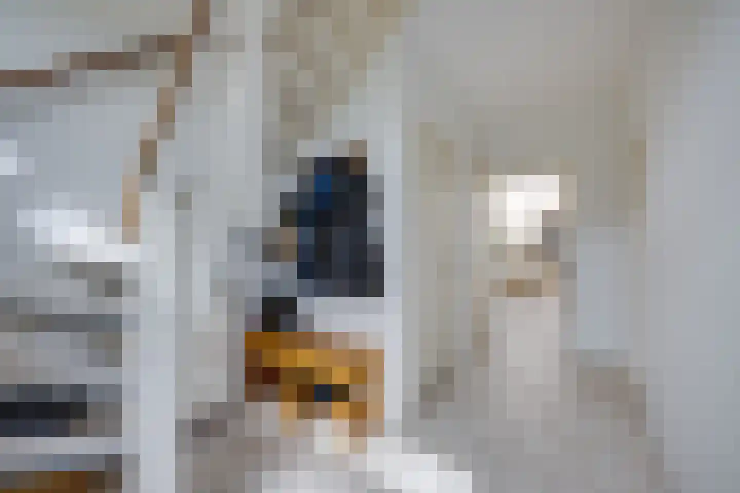 Chopinlaan 72 Voorschoten thumbnail 7