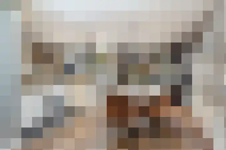 Chopinlaan 73 Apeldoorn thumbnail 24