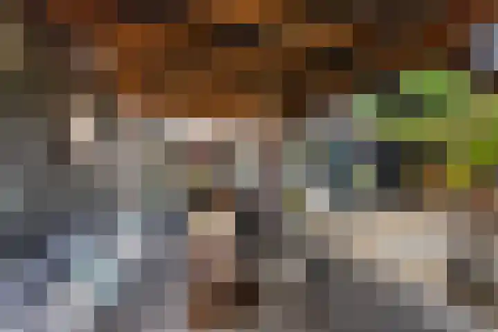 Chopinlaan 73 Apeldoorn thumbnail 26