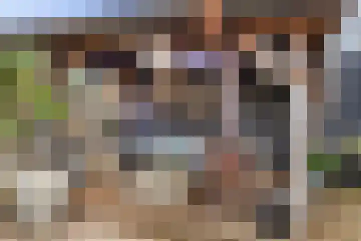 Chopinlaan 73 Apeldoorn thumbnail 29