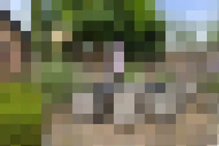 Chopinlaan 73 Apeldoorn thumbnail 31