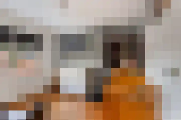 Chopinlaan 73 Apeldoorn thumbnail 34