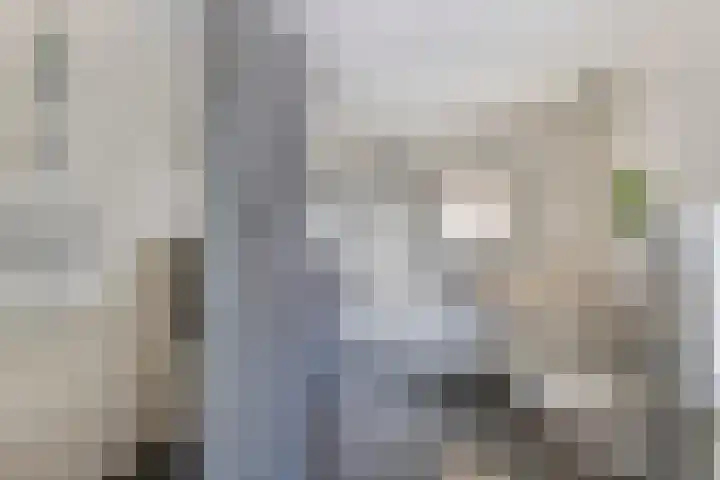 Chopinlaan 73 Apeldoorn thumbnail 37