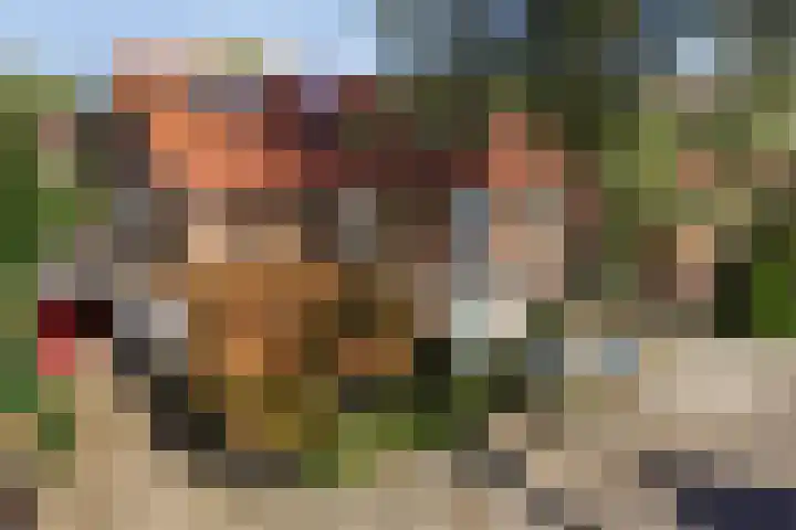 Chopinlaan 73 Apeldoorn thumbnail 4