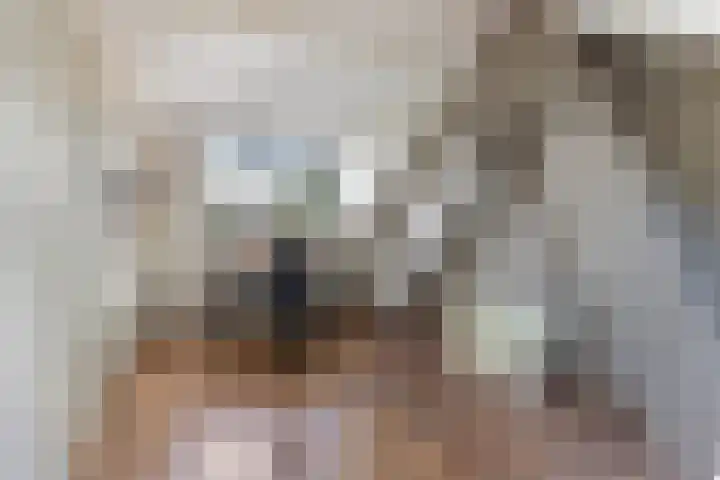 Chopinlaan 73 Apeldoorn thumbnail 42