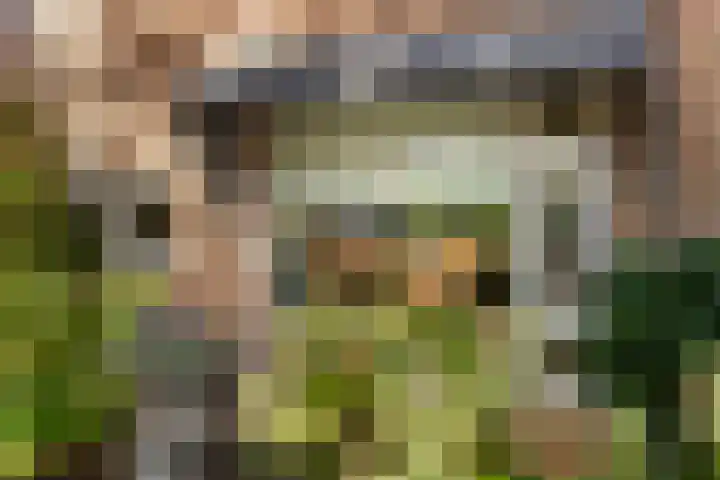 Chopinlaan 73 Apeldoorn thumbnail 5