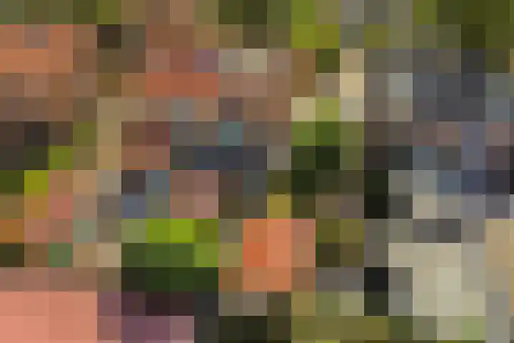 Chopinlaan 73 Apeldoorn thumbnail 6